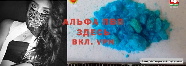 дмт Козельск