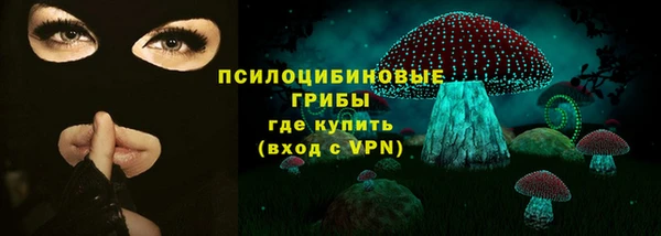 дмт Козельск